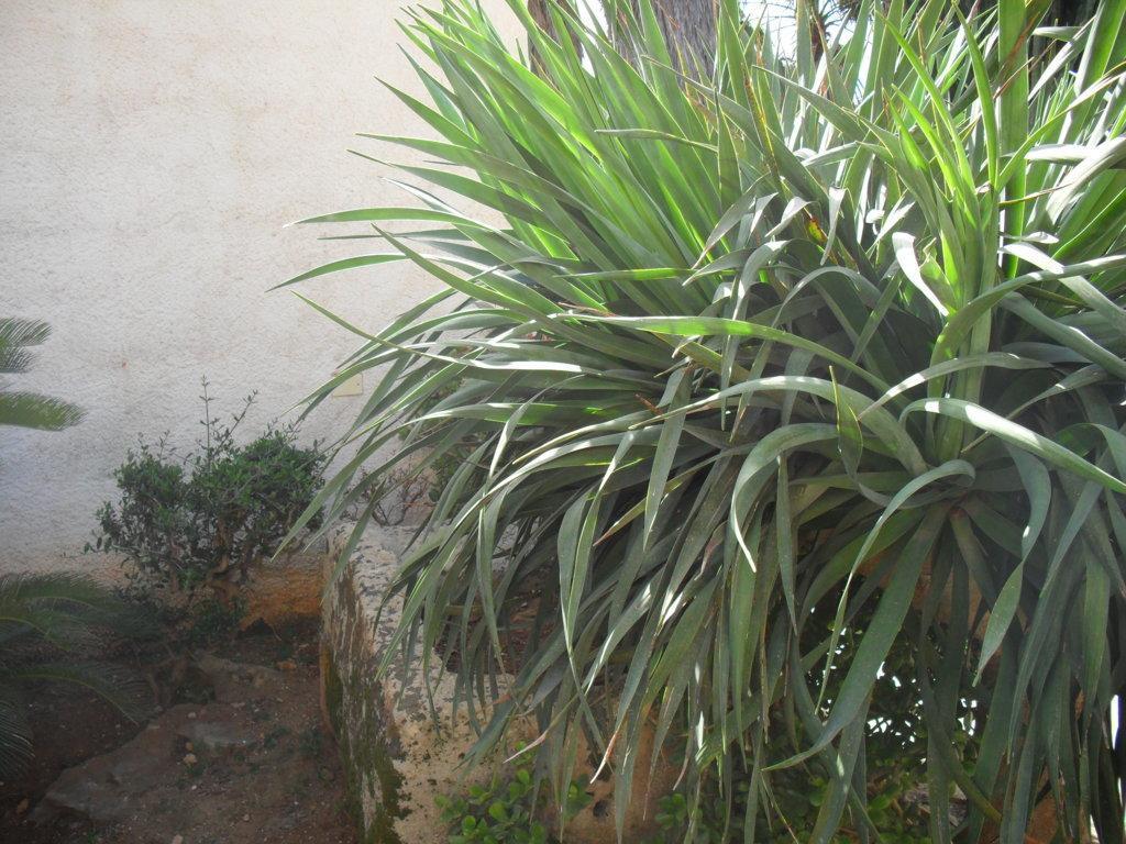Ferienwohnung Casa Petros Marsala Exterior foto